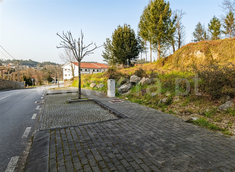 Lote / Fafe, Medelo