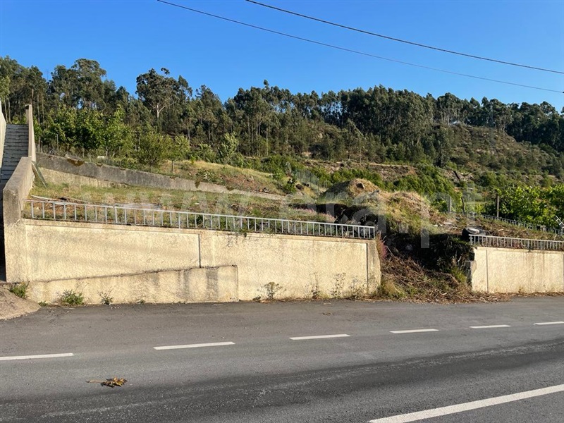 Lote / Fafe, Quinchães
