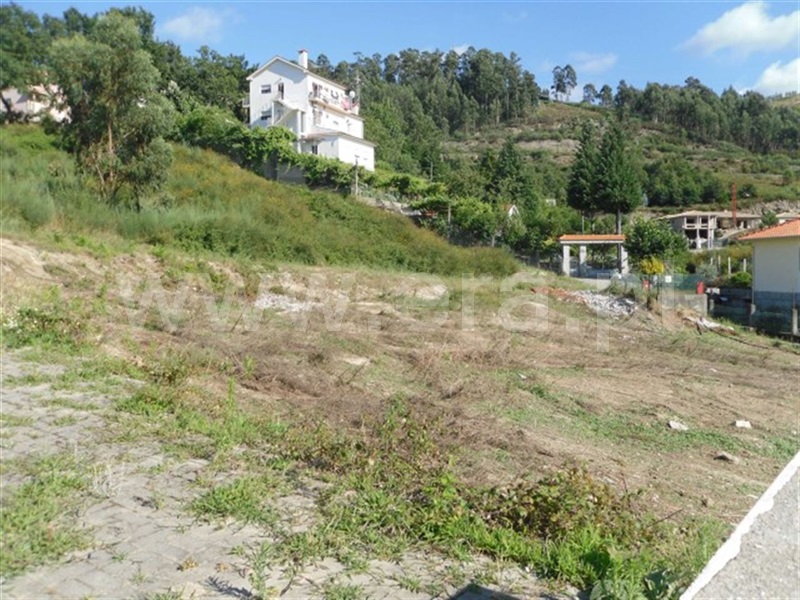 Lote  Fafe, Quinchães - 878584 - 5