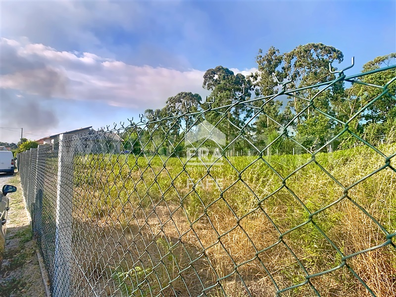 Lote  Fafe, Regadas - 1501034 - 1