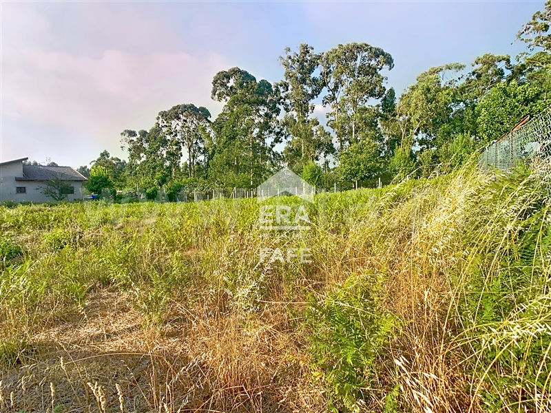 Lote  Fafe, Regadas - 1501034 - 3