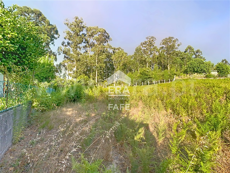 Lote  Fafe, Regadas - 1501034 - 5