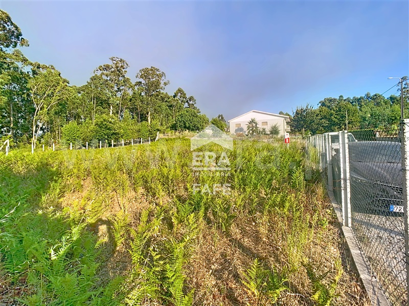 Lote  Fafe, Regadas - 1501034 - 6