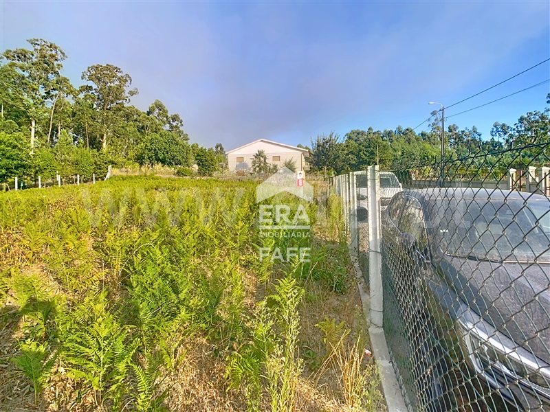 Lote  Fafe, Regadas - 1501034 - 7