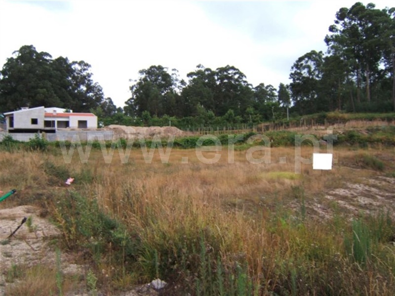 Lote  Fafe, Regadas - 973954 - 2