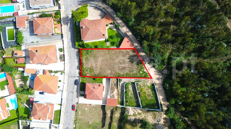 Lote / Felgueiras, Idães