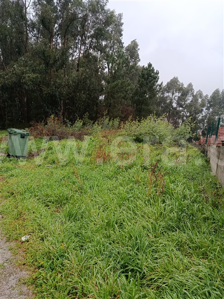 Lote / Felgueiras, Macieira da Lixa e Caramos