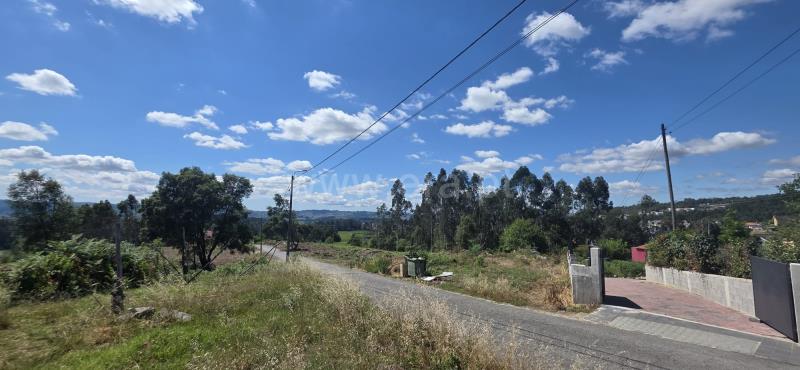 Lote / Felgueiras, Macieira da Lixa e Caramos