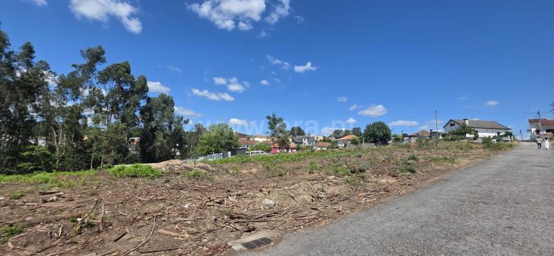 Lote / Felgueiras, Macieira da Lixa e Caramos