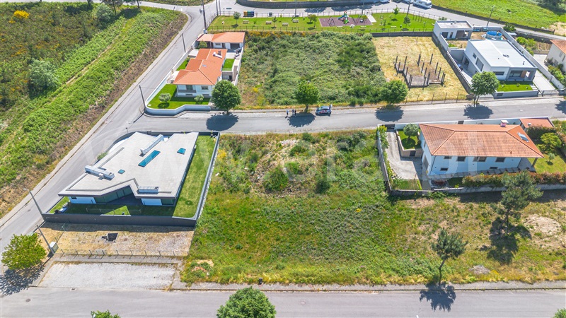 Lote  Felgueiras, Pinheiro - 1255810 - 2