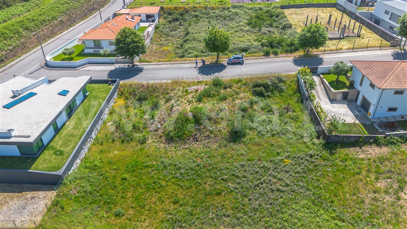 Lote  Felgueiras, Pinheiro - 1255810 - 3