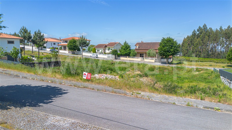 Lote  Felgueiras, Pinheiro - 1255810 - 4
