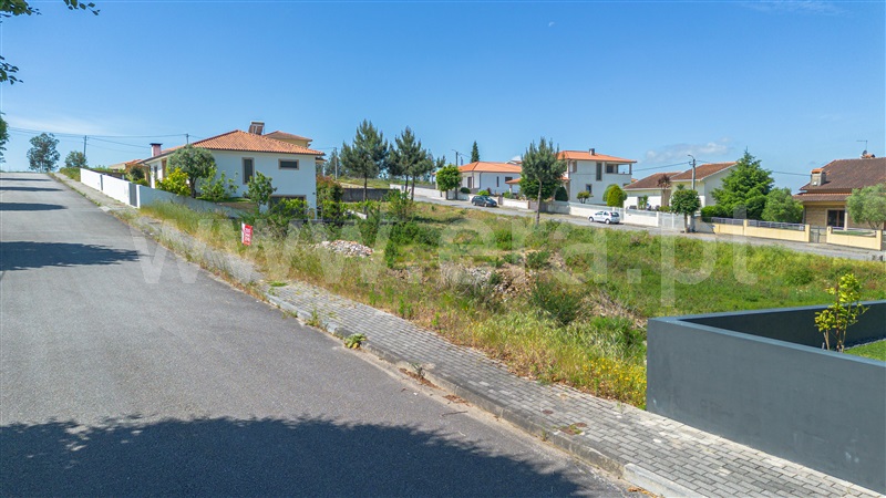 Lote  Felgueiras, Pinheiro - 1255810 - 5