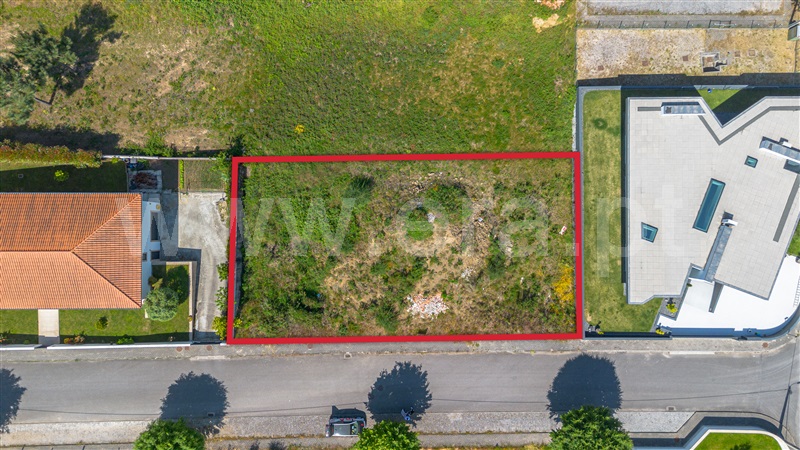 Lote / Felgueiras, Pinheiro
