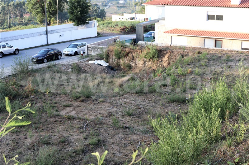 Lote  Felgueiras, Pombeiro de Ribavizela - 965353 - 3