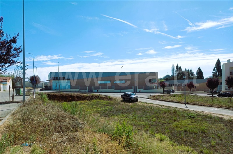 Lote  Ferreira do Zêzere - 1509340 - 2