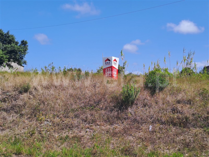 Lote / Figueira da Foz, Alhadas de Baixo