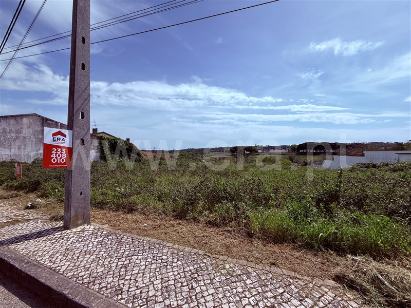 Lote / Figueira da Foz, Alhadas