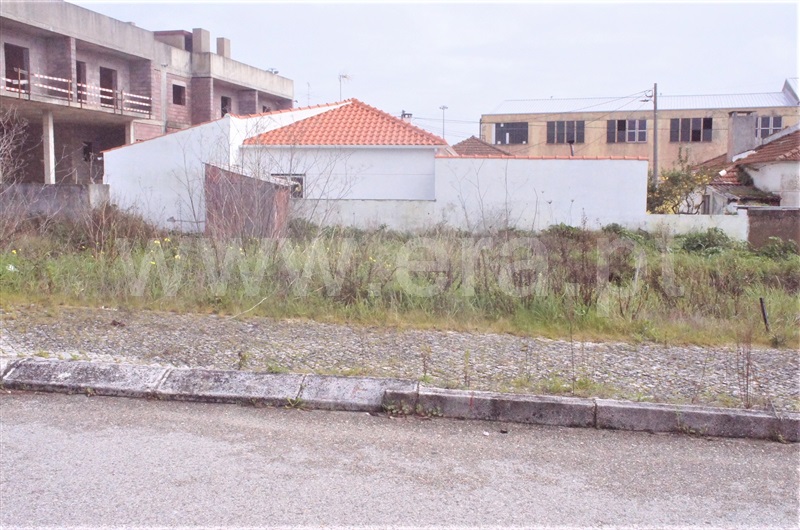 Lote / Figueira da Foz, Fontela - Vista 2