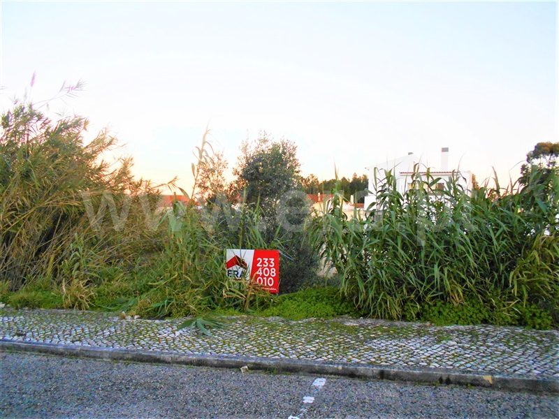 Lote / Figueira da Foz, Lavos