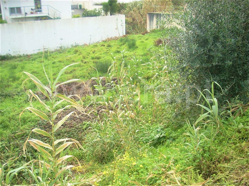 Lote  Figueira da Foz, Bizorreiro - 1161724 - 2