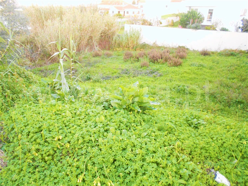Lote  Figueira da Foz, Bizorreiro - 1161724 - 3