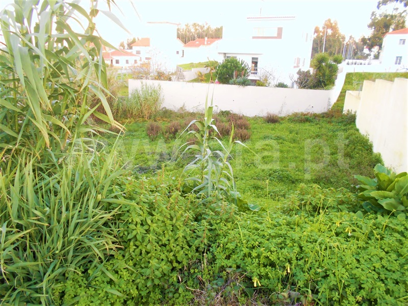 Lote  Figueira da Foz, Bizorreiro - 1161724 - 4