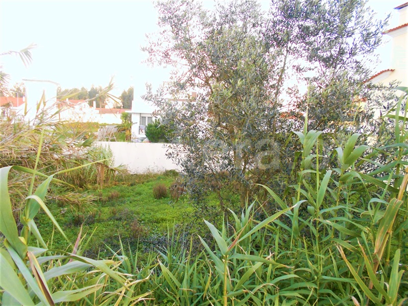 Lote  Figueira da Foz, Bizorreiro - 1161724 - 5