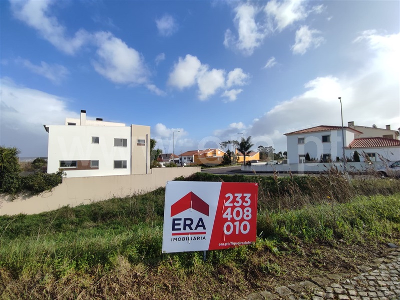 Lote / Figueira da Foz, Lavos