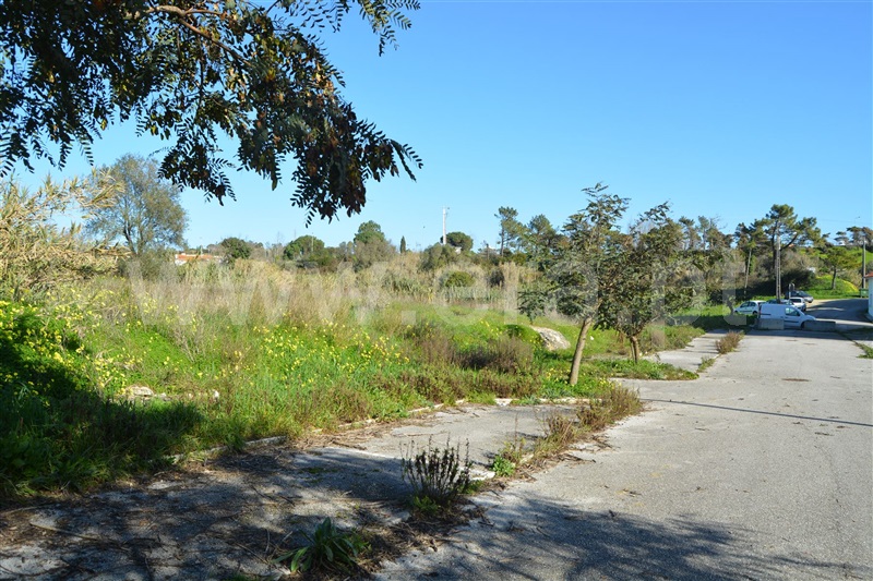 Lote / Figueira da Foz, Matadouro