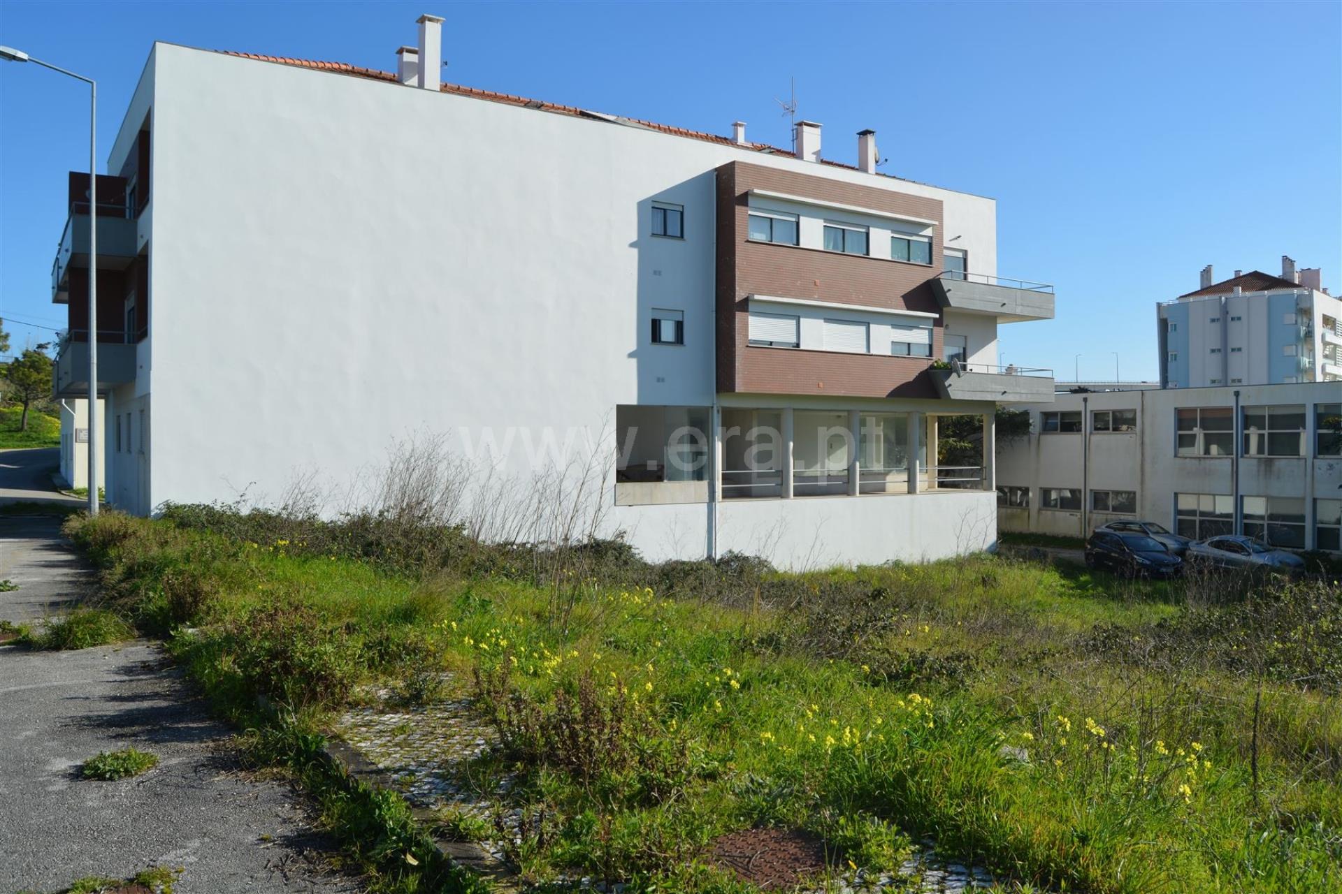 Lote