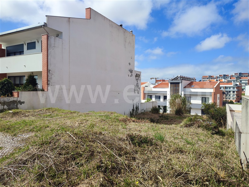 Lote / Figueira da Foz, Qta. da Borloteira