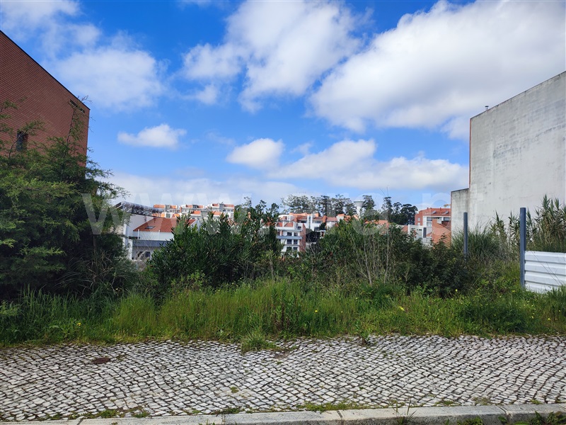 Lote / Figueira da Foz, Qta. da Borloteira