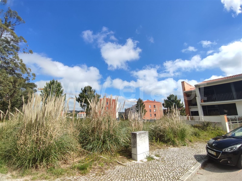 Lote  Figueira da Foz, Tavarede - 1471599 - 3