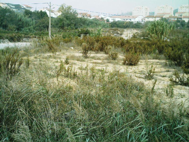 Lote / Figueira da Foz, Vila Verde - Figueira da Foz