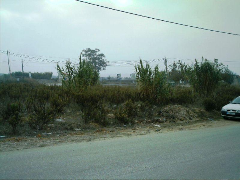 Lote  Figueira da Foz, Vila Verde - Figueira da Foz - 82390 - 2