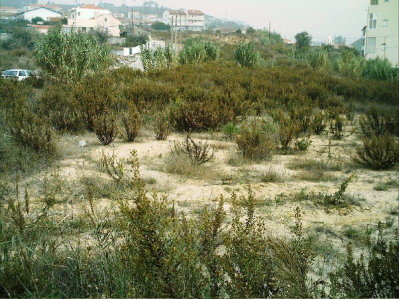 Lote  Figueira da Foz, Vila Verde - Figueira da Foz - 82390 - 3