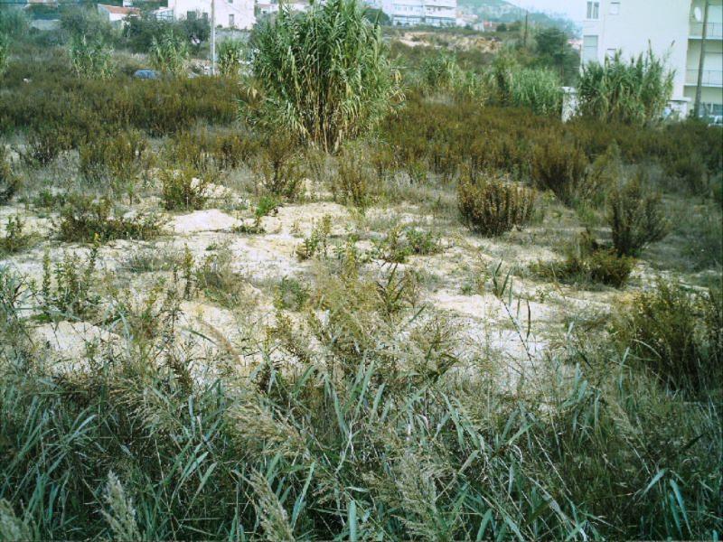 Lote  Figueira da Foz, Vila Verde - Figueira da Foz - 82390 - 7