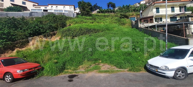 Lote / Funchal, Monte