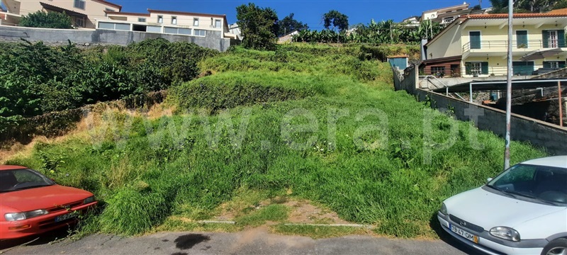 Lote  Funchal, Imaculado Coração de Maria - 1360458 - 3