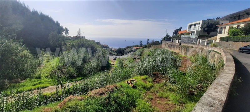 Lote  Funchal, Imaculado Coração de Maria - 1360458 - 4
