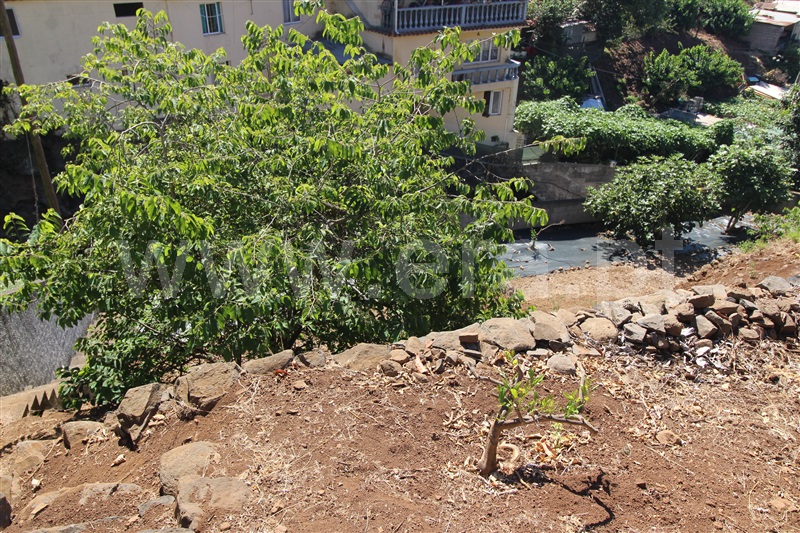 Lote / Funchal, São Roque
