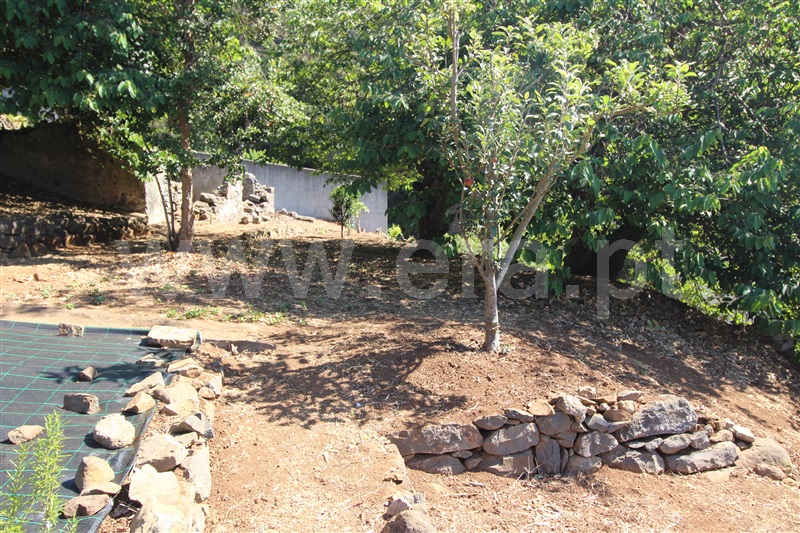 Lote  Funchal, São Roque - 1428730 - 4