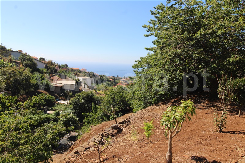 Lote  Funchal, São Roque - 1428730 - 6