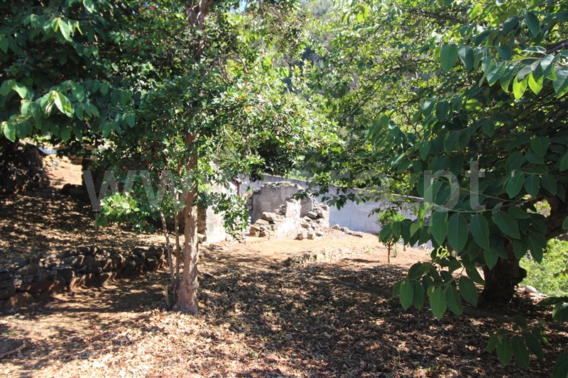 Lote  Funchal, São Roque - 1428730 - 10