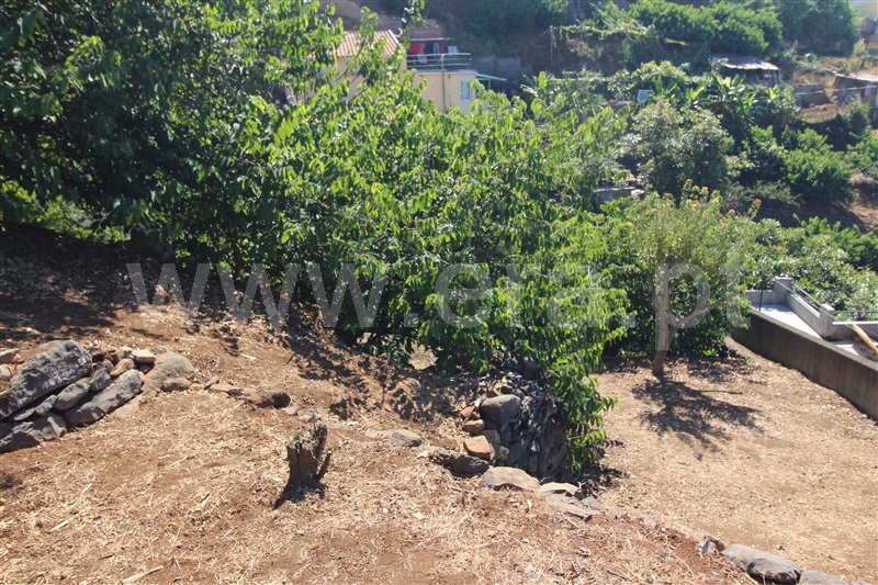 Lote  Funchal, São Roque - 1428730 - 12