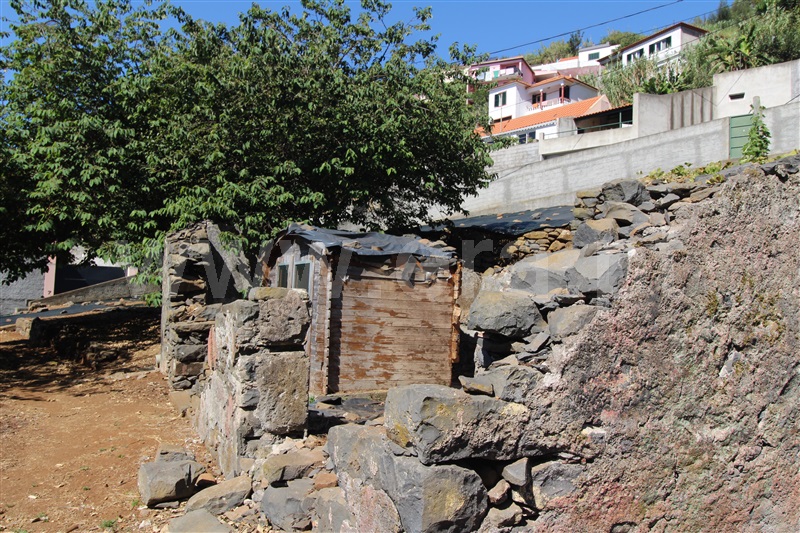 Lote  Funchal, São Roque - 1428730 - 14