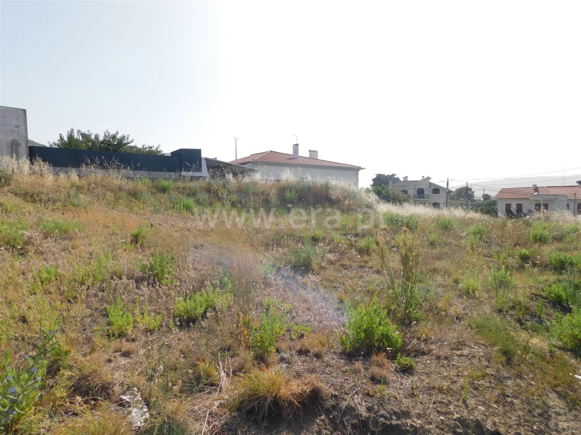 Terreno em Covilhã