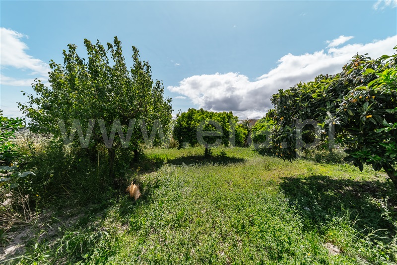 Lote  Fundão, Póvoa da Atalaia - 1347958 - 8