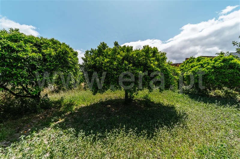 Lote  Fundão, Póvoa da Atalaia - 1347958 - 10
